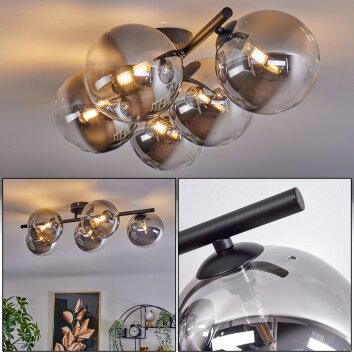 CHEHALIS Ceiling Light - glass clear, Smoke-coloured, 5-light sources