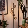 REMAISNIL Floor Lamp - glass black, 5-light sources