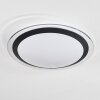CASTASEGNA Ceiling Light LED white, 1-light source