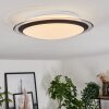 CASTASEGNA Ceiling Light LED white, 1-light source