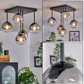CHEHALIS Ceiling Light - glass clear, Smoke-coloured, 5-light sources