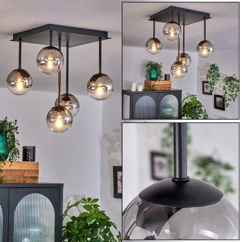 CHEHALIS Ceiling Light - glass clear, Smoke-coloured, 5-light sources