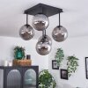 CHEHALIS Ceiling Light - glass Smoke-coloured, 5-light sources