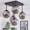 CHEHALIS Ceiling Light - glass Smoke-coloured, 5-light sources