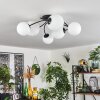 CHEHALIS Ceiling Light - glass black, 6-light sources