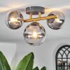 CHEHALIS Ceiling Light - glass gold, black, 3-light sources