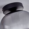 APEDO Ceiling Light - glass clear, Smoke-coloured, 1-light source