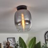 APEDO Ceiling Light - glass clear, Smoke-coloured, 1-light source