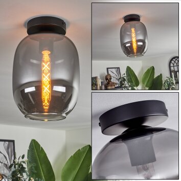 APEDO Ceiling Light - glass Smoke-coloured, 1-light source