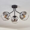 KOYOTO Ceiling Light - glass black, 3-light sources