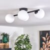 CHEHALIS Ceiling Light - glass white, 4-light sources
