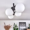 CHEHALIS Ceiling Light - glass white, 4-light sources