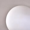 CHEHALIS Ceiling Light - glass white, 4-light sources