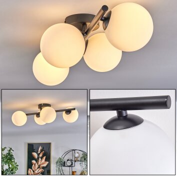 CHEHALIS Ceiling Light - glass white, 4-light sources