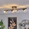 CHEHALIS Ceiling Light - glass clear, 4-light sources