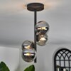 CHEHALIS Ceiling Light - glass Smoke-coloured, 4-light sources