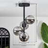 CHEHALIS Ceiling Light - glass Smoke-coloured, 4-light sources