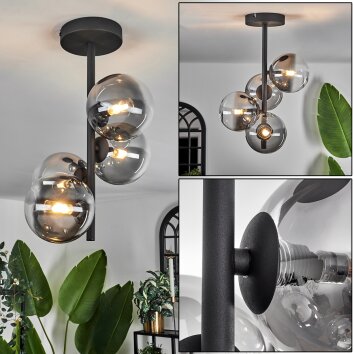 CHEHALIS Ceiling Light - glass clear, Smoke-coloured, 4-light sources