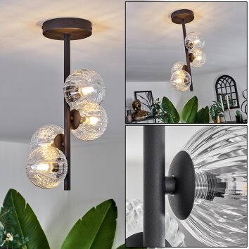 CHEHALIS Ceiling Light - glass clear, 4-light sources