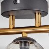 CHEHALIS Ceiling Light - glass gold, black, 3-light sources