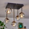 CHEHALIS Ceiling Light - glass gold, black, 5-light sources