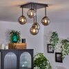 CHEHALIS Ceiling Light - glass Smoke-coloured, 5-light sources