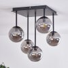 CHEHALIS Ceiling Light - glass Smoke-coloured, 5-light sources