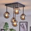 CHEHALIS Ceiling Light - glass Smoke-coloured, 5-light sources