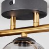 CHEHALIS Ceiling Light - glass gold, black, 3-light sources