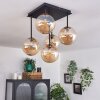 CHEHALIS Ceiling Light - glass gold, black, 5-light sources