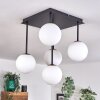 CHEHALIS Ceiling Light - glass gold, black, 5-light sources