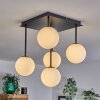 CHEHALIS Ceiling Light - glass gold, black, 5-light sources