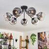 KOYOTO Ceiling Light - glass clear, Smoke-coloured, 7-light sources