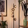 REMAISNIL Floor Lamp - glass clear, Smoke-coloured, 5-light sources