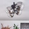 CHEHALIS Ceiling Light - glass clear, Smoke-coloured, 4-light sources