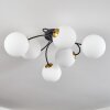 CHEHALIS Ceiling Light - glass gold, black, 6-light sources
