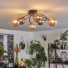 CHEHALIS Ceiling Light - glass gold, black, 6-light sources