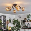CHEHALIS Ceiling Light - glass gold, black, 6-light sources