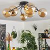CHEHALIS Ceiling Light - glass gold, black, 6-light sources