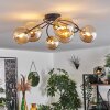 CHEHALIS Ceiling Light - glass gold, black, 6-light sources