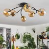 CHEHALIS Ceiling Light - glass gold, black, 6-light sources