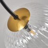 CHEHALIS Ceiling Light - glass gold, black, 6-light sources