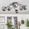 CHEHALIS Ceiling Light - glass Smoke-coloured, 6-light sources