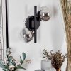 CHEHALIS Wall Light - glass clear, Smoke-coloured, 2-light sources