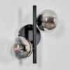 CHEHALIS Wall Light - glass clear, Smoke-coloured, 2-light sources