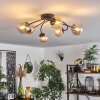 CHEHALIS Ceiling Light - glass Amber, 6-light sources