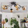 CHEHALIS Ceiling Light - glass Amber, 6-light sources