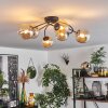 CHEHALIS Ceiling Light - glass Amber, 6-light sources