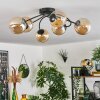 CHEHALIS Ceiling Light - glass Amber, 6-light sources