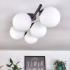 CHEHALIS Ceiling Light - glass white, 5-light sources